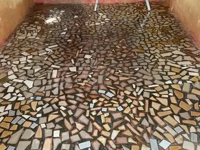 Imagem 2: Casa pra Alugar 3 Quarto