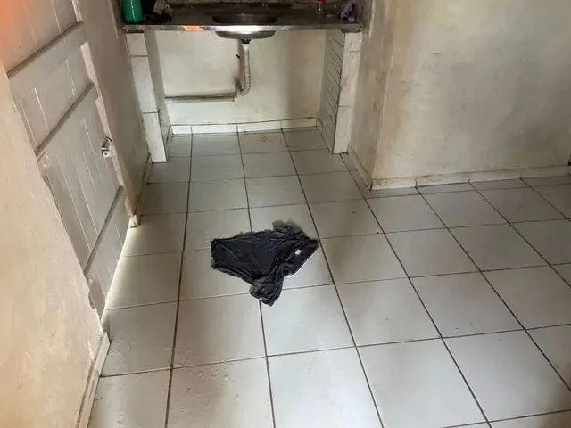 Imagem 4: Casa pra Alugar 3 Quarto