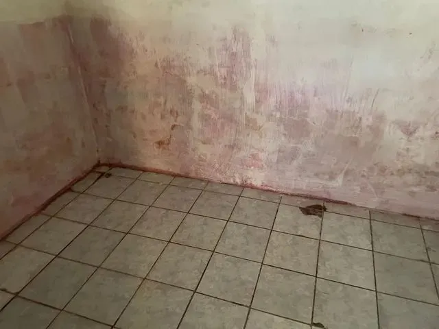 Imagem 3: Casa pra Alugar 3 Quarto