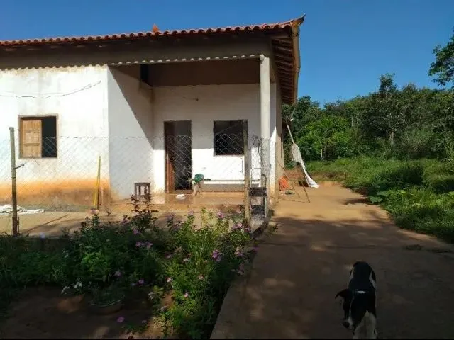Imagem 3: Sítio À Venda na Região de Mirabela