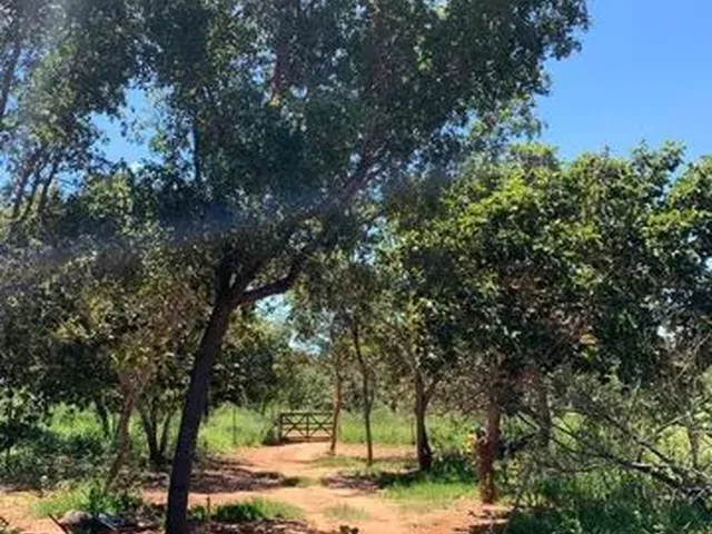 Imagem 8: Sítio À Venda na Região de Mirabela