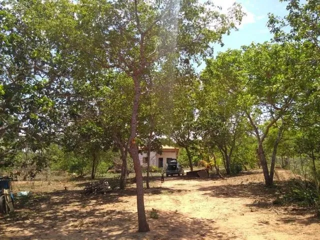 Imagem 15: Sítio À Venda na Região de Mirabela