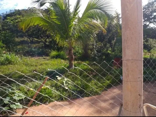 Imagem 12: Sítio À Venda na Região de Mirabela
