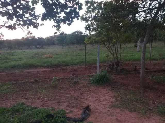 Imagem 14: Sítio À Venda na Região de Mirabela