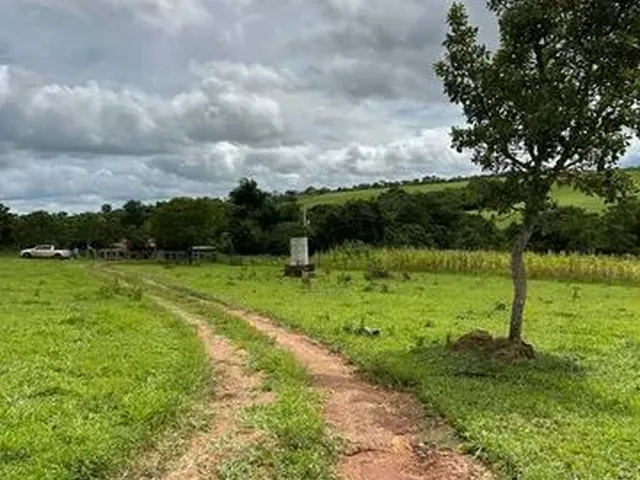 Imagem: Vendo Está Chácara 20 Mil Metros com Agua