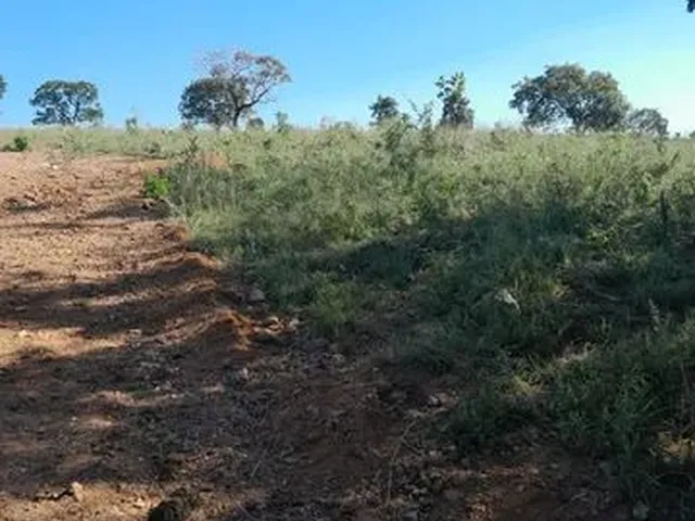 Imagem: Fazenda de Oportunidade ! 125 Alqueires