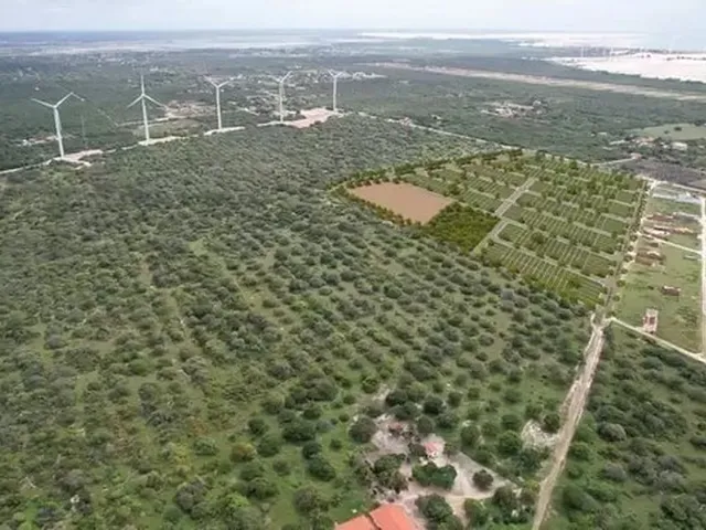 Imagem 10: Loteamento Próximo a Praia de Majorlândia - Ce