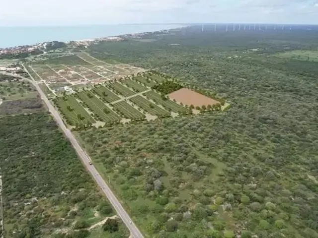 Imagem 7: Loteamento Próximo a Praia de Majorlândia - Ce