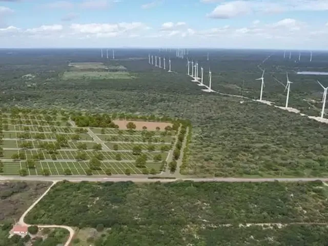 Imagem 5: Loteamento Próximo a Praia de Majorlândia - Ce