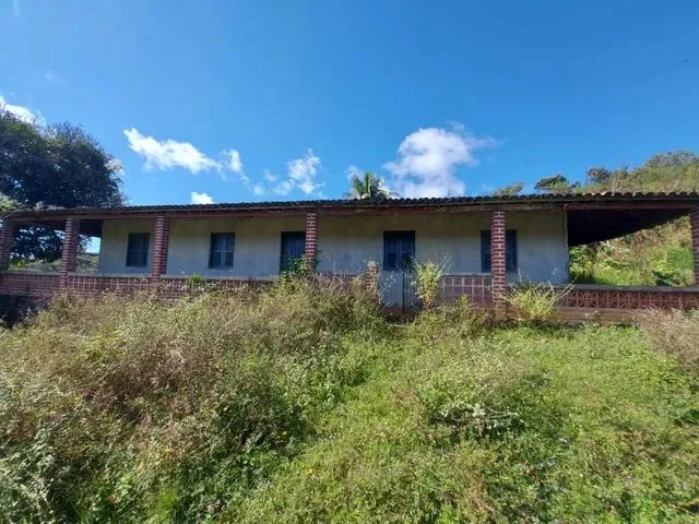 Imagem: Fazenda em Mutuipe Cacau, Capim e Pasto
