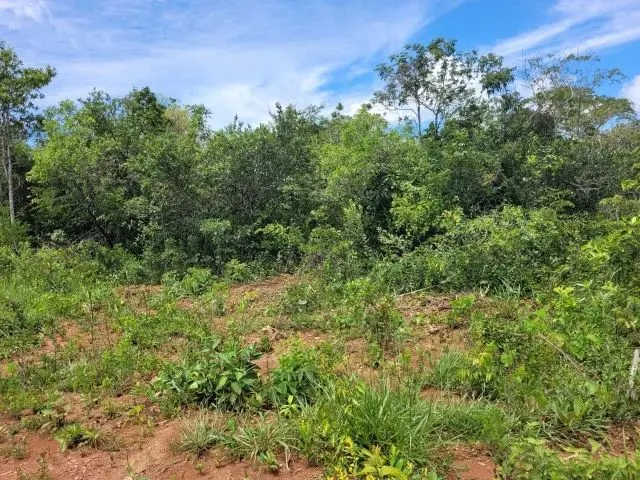 Imagem: A chácara possui 5.000m² de Área e está localizado em