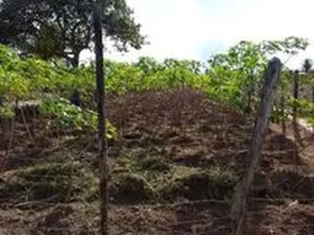 Imagem: Apenas Venda
