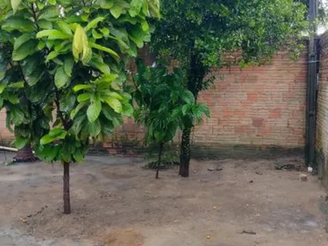 Imagem 2: Aluga-Se Casa Próximo Ataide Teive Leia o Anúncio!