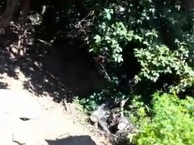 Imagem 2: Aluga-Se Casa com 1 dormitório