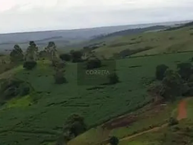 Imagem: Fazenda em Tapira - Mg -25 Alqueires R$2.800.000