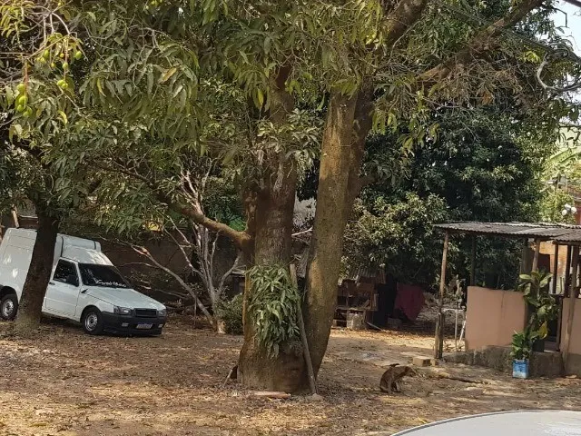 Imagem 3: Lote com Casa no São Benedito
