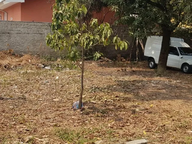 Imagem 2: Lote com Casa no São Benedito