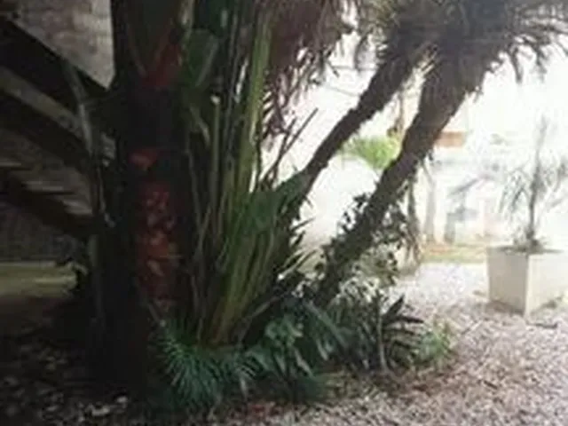 Imagem 6: Apto Campeche na Rua da Capela 300M do Mar