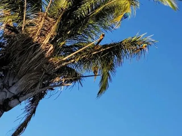 Imagem 5: Alugo Apt Próx. Ao Lago do Amor