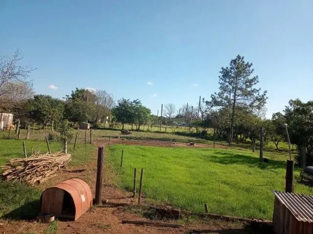 Imagem: Casa no Capão do Leão