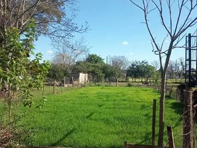 Imagem 10: Casa no Capão do Leão