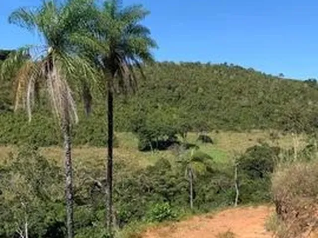 Imagem: Fazenda 11 Algueire em Aparecida