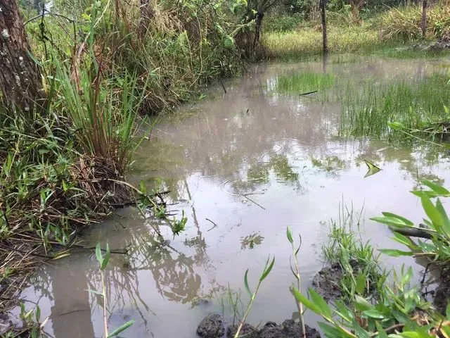 Imagem: Chácaras 1000M em Rio Manso, 10Mil Entrada