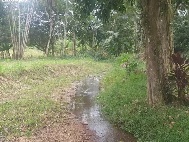 Imagem: Chácaras Proximos de Tudo