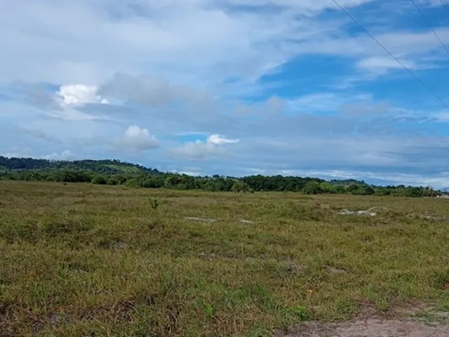 Imagem: Área de Terra Limpa (Granja Ou Chácara