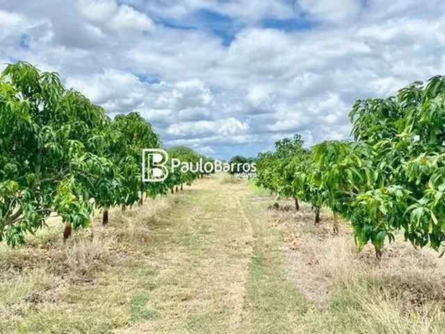Imagem: Fazenda para Vender em Junco Salitre, Juazeiro