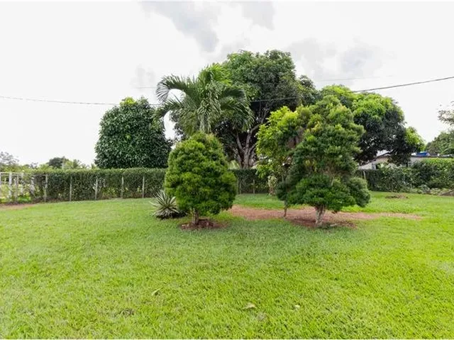 Imagem: Sítio a Venda em Santo Antônio de Jesus