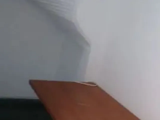 Imagem 8: Apartamento com 2 Dormitórios À Venda em Vitória