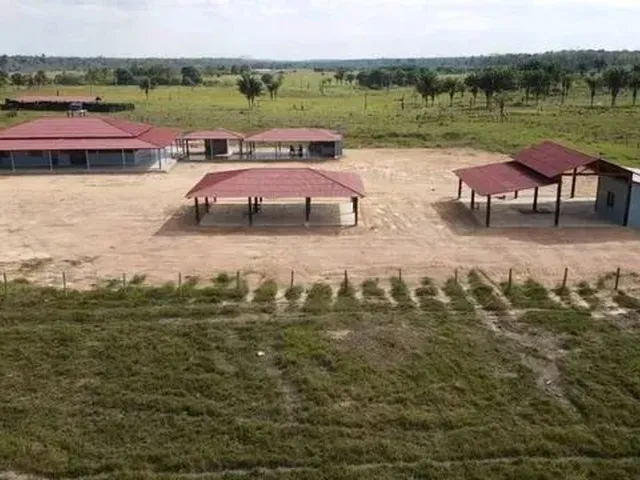 Imagem: Fazenda 240Ha, 110Ha Pasto, 125Km de Boa