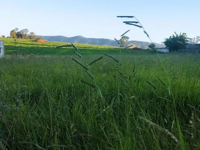 Imagem: Terreno para Chácara
