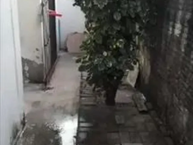 Imagem 6: Alugo Casa em Regomoleiro