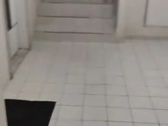Imagem 2: Alugo Apto Paulo Coelho 2 Quartos Vila Mocó
