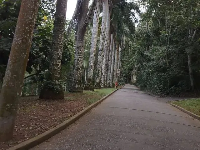 Imagem 2: Alugo Kitnet Mobiliada na Gavea