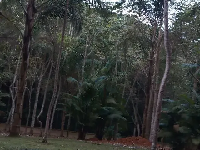 Imagem 7: Alugo Kitnet Mobiliada na Gavea