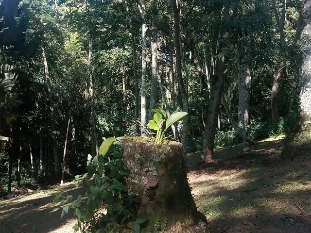 Imagem 6: Alugo Kitnet Mobiliada na Gavea