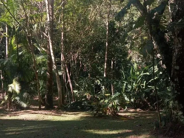 Imagem 13: Alugo Kitnet Mobiliada na Gavea