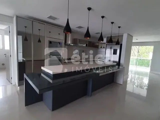 Imagem: Incrível Apartamento em Bairro Nobre de