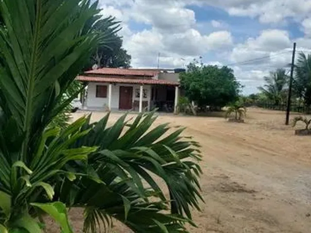 Imagem 6: Chácara Renascer