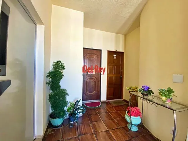 Imagem 15: 2 Quartos Oportunidade - Bairro Nova Cachoeirinha