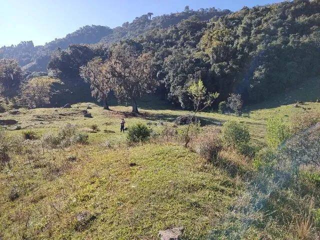 Imagem 12: Sítio 3.000M² em Alfredo Wagner