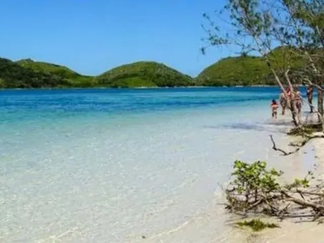 Imagem: Casa Ilha do Japonês