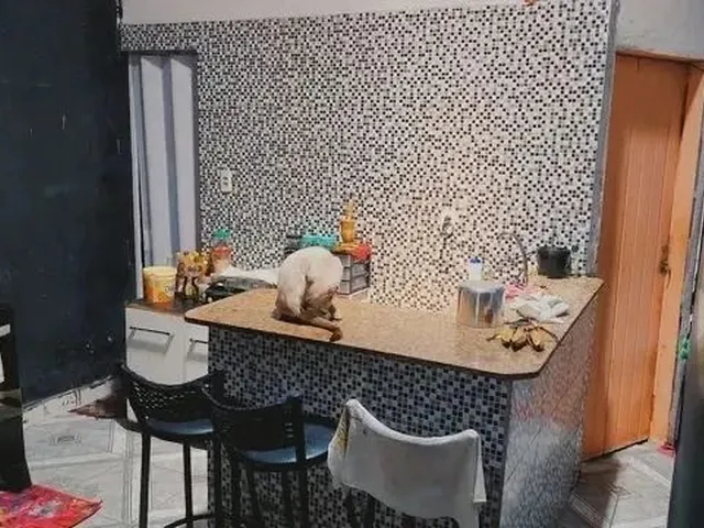 Imagem: Vendo Excelente Imovel na Estrutural