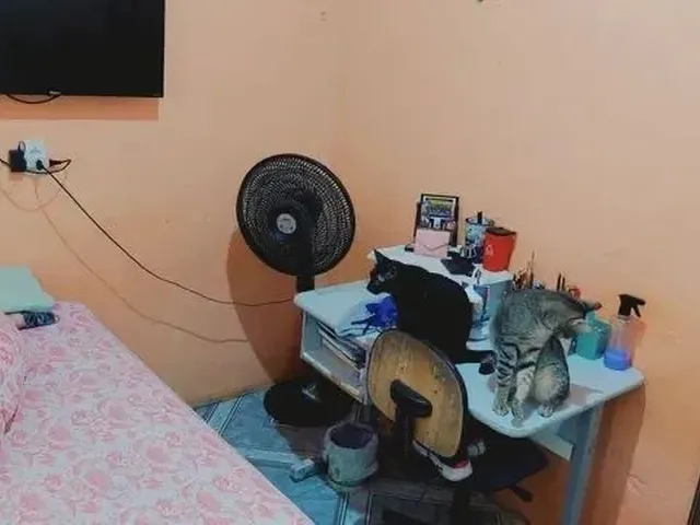Imagem 3: Vendo Excelente Imovel na Estrutural