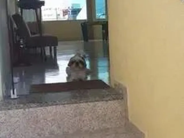 Imagem 10: Vendo Casa em Barcelona