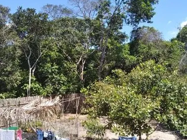 Imagem 5: Alugo Casa em Alter do Chão
