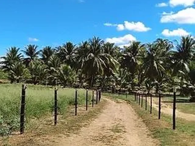 Imagem: Vendo 1 Lote na Barragem de Anagé